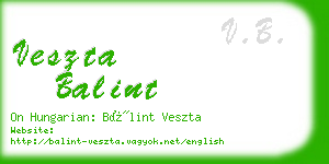 veszta balint business card